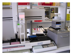 Photo of lab with quantitative PCR equipment