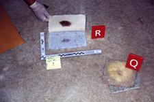Photo of crime scene evidence being collected