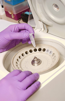 Photo of gloved hands loading DNA sample into a machine