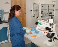 Photo of a laboratory technician running a test