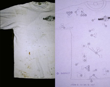 Photo of a T-shirt on the left, with a drawing of the same T-shirt on the right