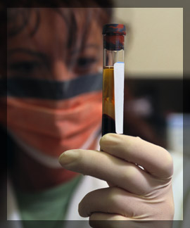 Photo of a second analyst reading a vial of DNA evidence in a lab