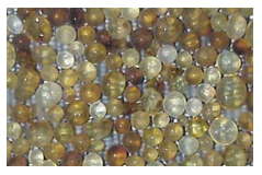 Photo of silica beads