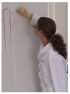 Image of technician collecting samples from a wall