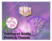 Testing of Bodily Fluids & Tissues