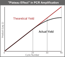 Plateau Effect in PCR Amplification