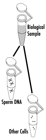 illustration of test tubes