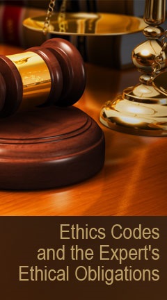 Ethics Codes and the Expert's Ethical Obligations