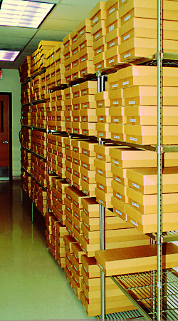 Large group of boxes on shelves