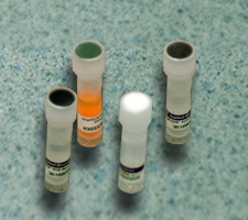 Photo of test tubes