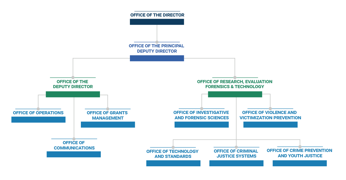NIJ Organization Chart