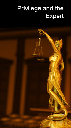 Photo of Lady Justice. Caption reads, 'Privilege and the Expert'