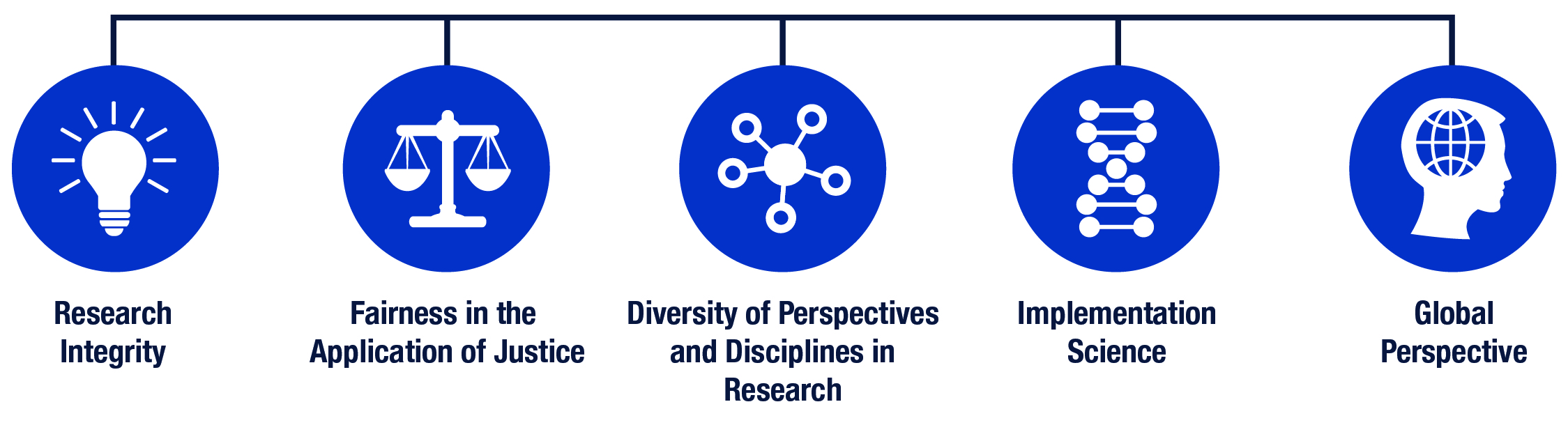 Crosscutting Themes include research integrity, fairness in the application of justice, diversity of perspectives and disciplines in research, implementation science, global persepctive