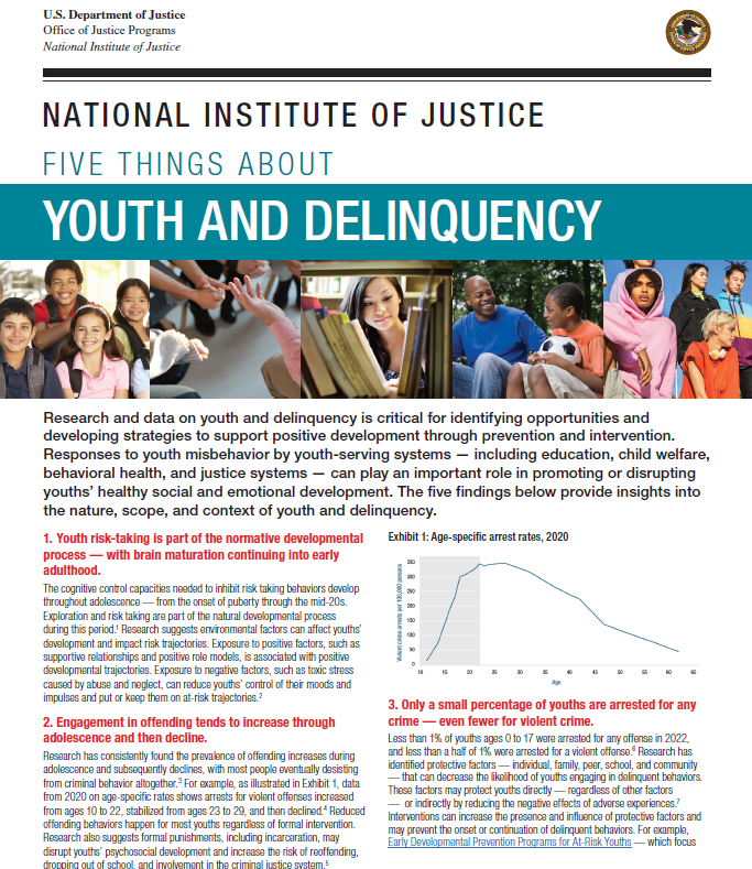 Five Things About Youth and Delinquency