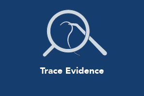 Trace Evidence
