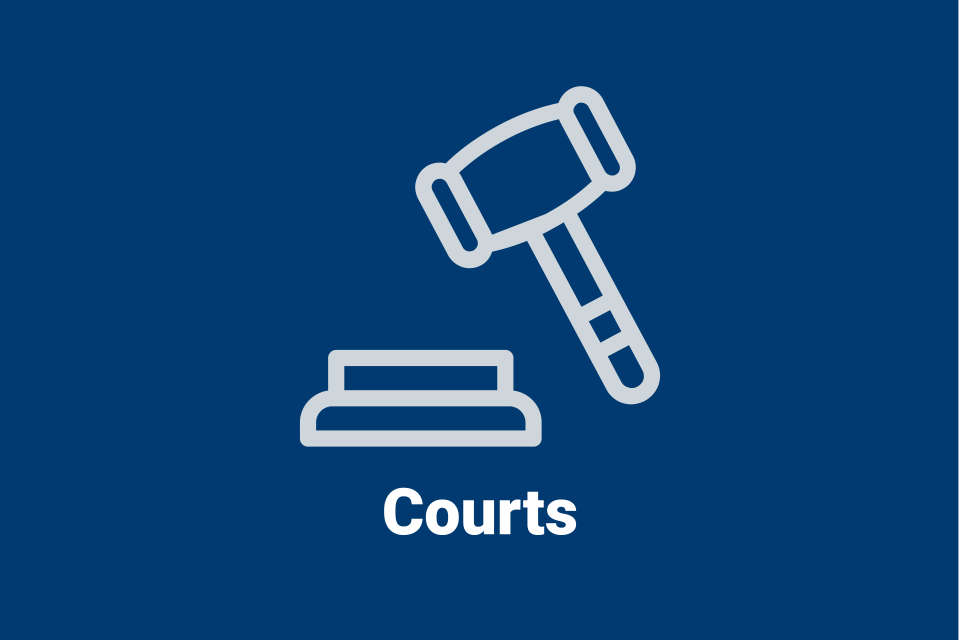 Courts information from NIJ