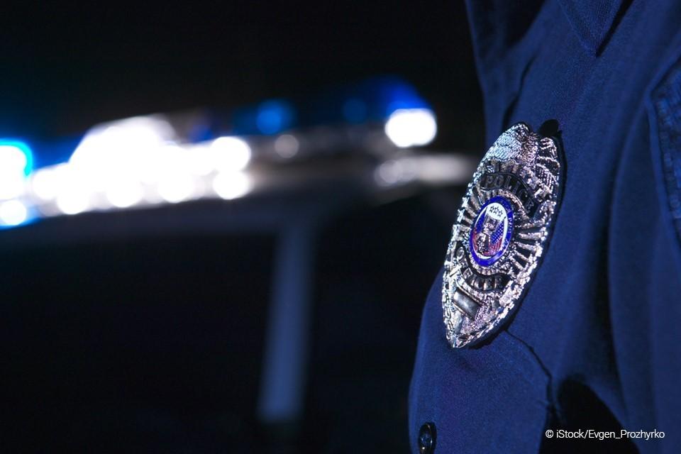picture of an officers arm badge