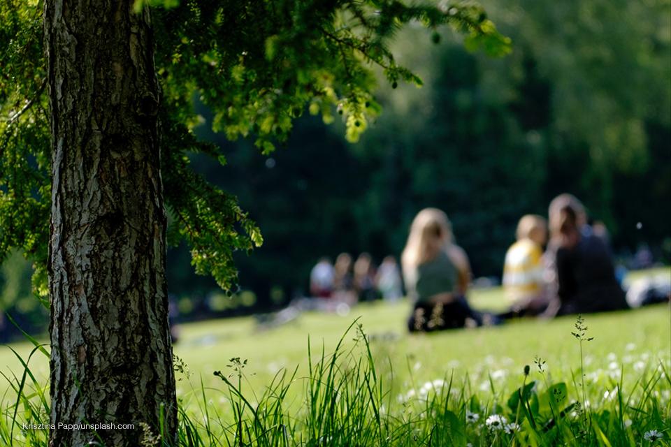 people sitting in a green field on a nice day, with green trees all around