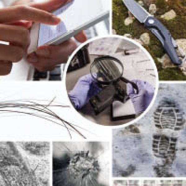 Sexual Assault Cases: Exploring the Importance of Non-DNA Forensic ...