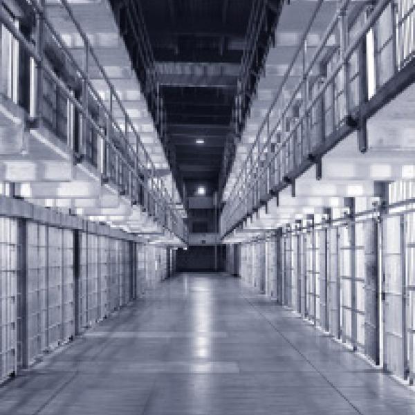 Beyond The Prison Bubble National Institute Of Justice