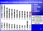 Still image linking to Animation on How the Product Rule is Used to Estimate STR Frequencies
