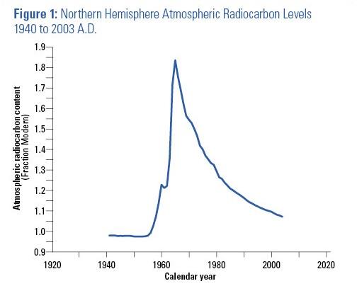 Figure 1: Northern Hemisphere Atmospheric Radiocarbon Levels 1940 to 2003 A.D.