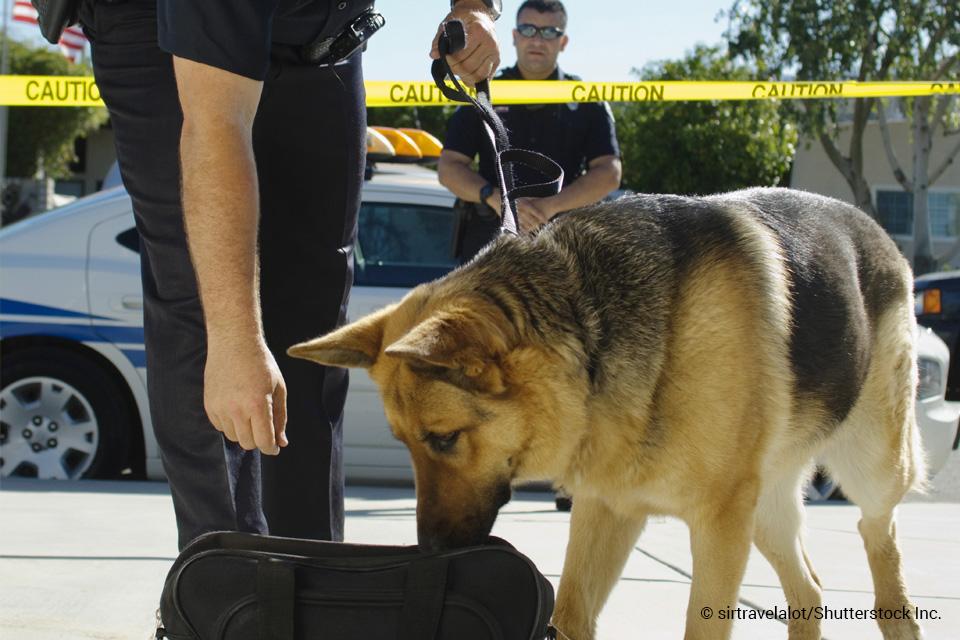 officer with K9 sniffing bag