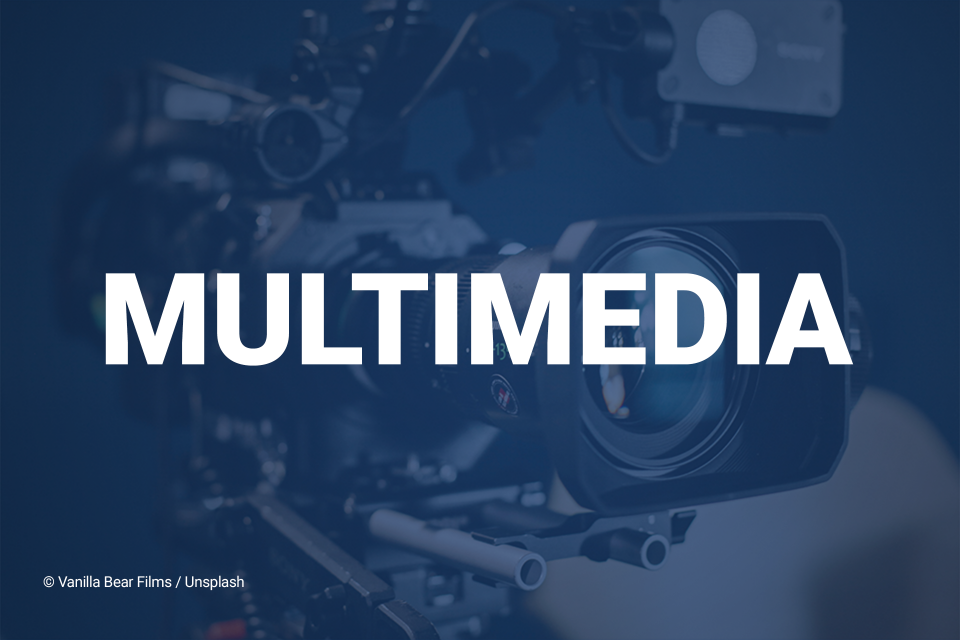 junior multimedia designer