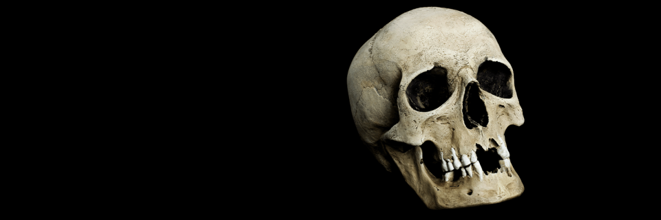 Close up of a human skull missing teeth