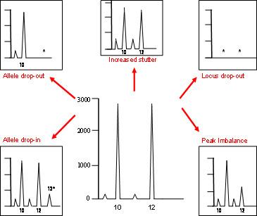 Low Copy Number DNA Stochastic Effects