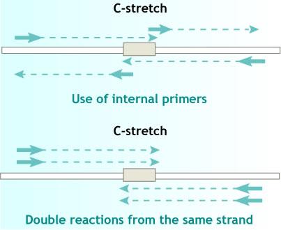 Heteroplasmy and Mutations
