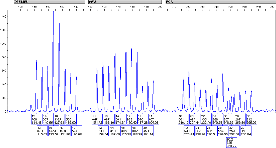 Profiler Plus® allelic ladder (loci D3S1358, vWA, FGA)