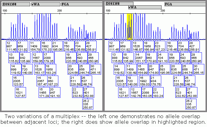 Two variations of a multiplex