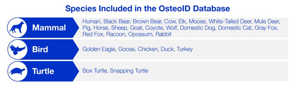 Species Included in the OsteoID Database