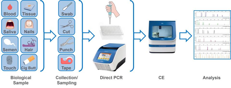 The direct PCR process: types of samples, collection and sampling methods, direct PCR in the thermocycler (for DNA amplification), capillary electrophoresis (CE) for DNA profiling, and analysis results.