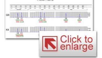 Thumbnail Photo of a DNA profile using a graphical software program.