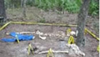 Photo of an outdoor crime scene in a forest with police tape and other closed off areas for investigation