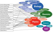 diversity-exhibit1.png Exhibit 1. Most Common Forensic Disciplines