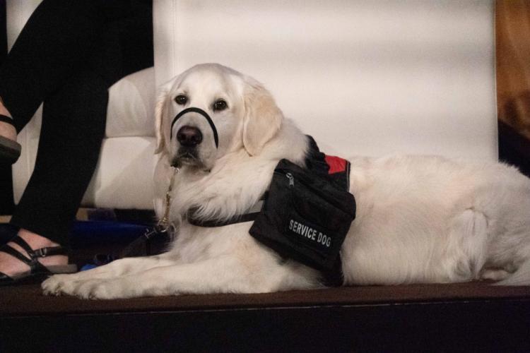 Even our four-legged friends are interested in advancing justice through science! 