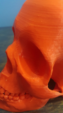 3d printed skull with striations