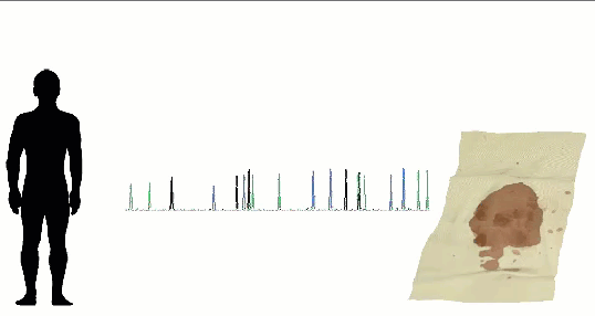 Animated picture of DNA specimen match DNA from a human
