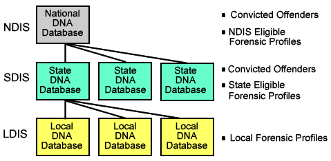 Example diagram of CODIS Architecture