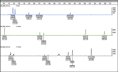 Non-Human Animal DNA - Domestic Dog