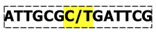 Example SNP represented as ATTGCG[C/T]GATTCG in which the SNP is characterized by a C and a T allele embedded in non-variant flanking sequence