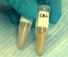 Photo of Vortexed PCI
