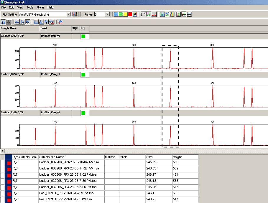 Screen capture of the size standard overlay with the sizing table beneath