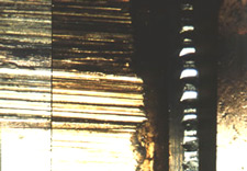 Identification of two copper jacketed bullets