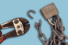 Bolt cutter and lock