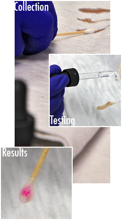 composite of three images, collecting DNA on swab, testing swab, results of swab 
