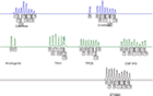 Applied Biosystems Profiler Plus